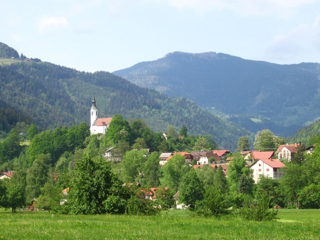 Farm Stay Bukovje Ljubno Luaran gambar