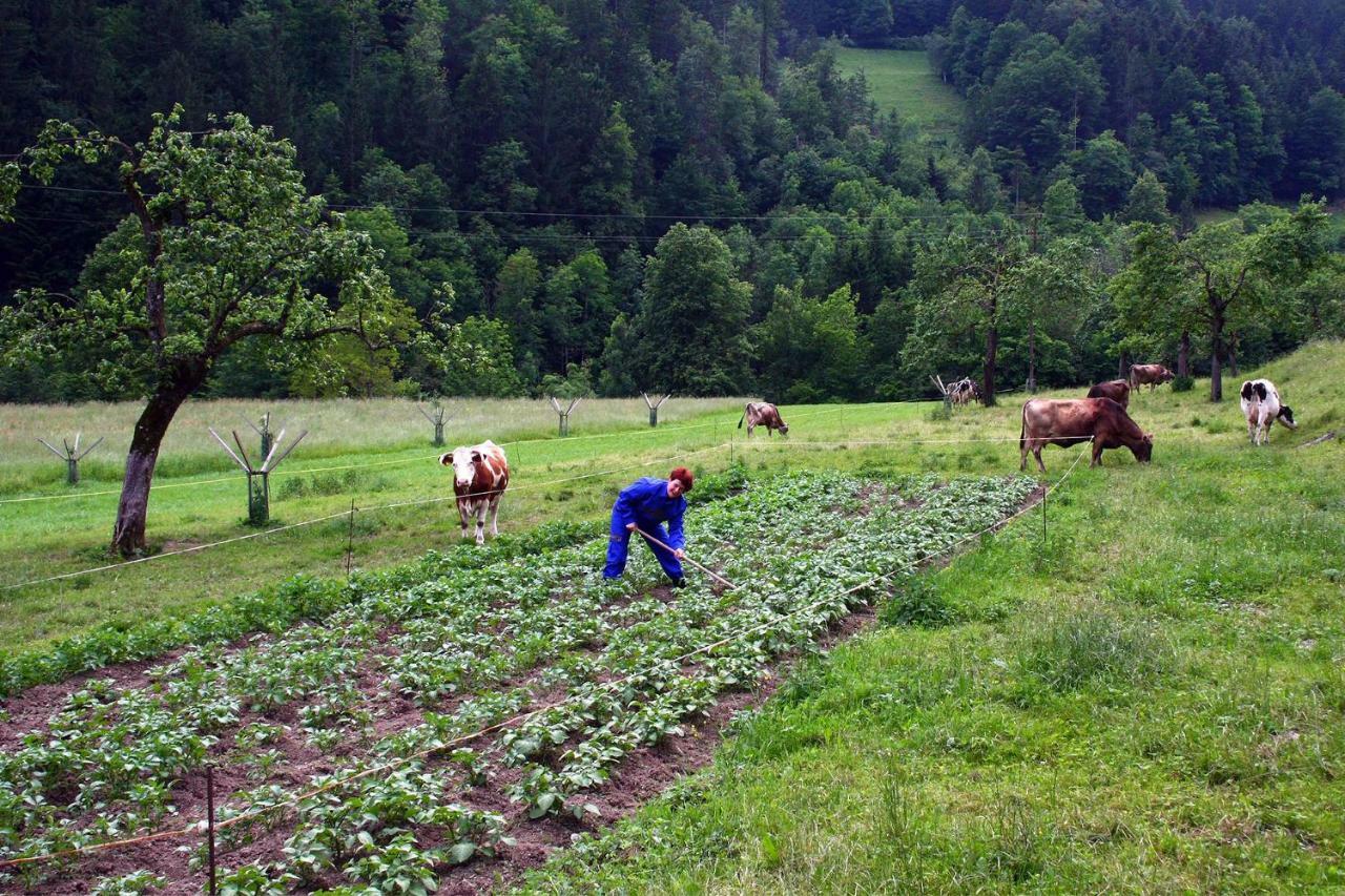 Farm Stay Bukovje Ljubno Luaran gambar